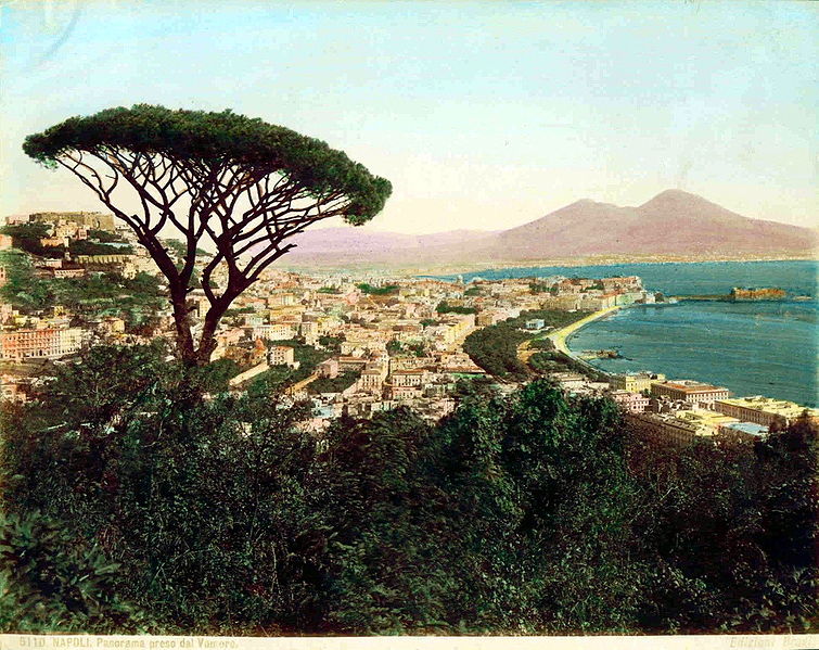 Giacomo Brogi (1822-1881) - "Napoli - Panorama preso dal Vomero" (in realtà da Posillipo), colorizzata a mano. 